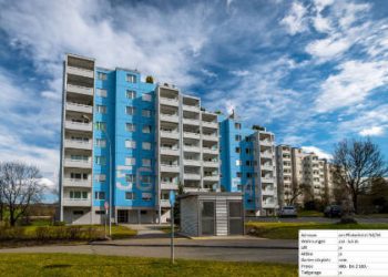 Greifensee, Pfisterhölzli